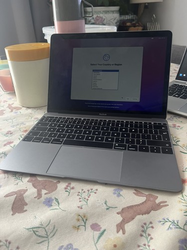 Apple macbook a1534 - a1534, pollici